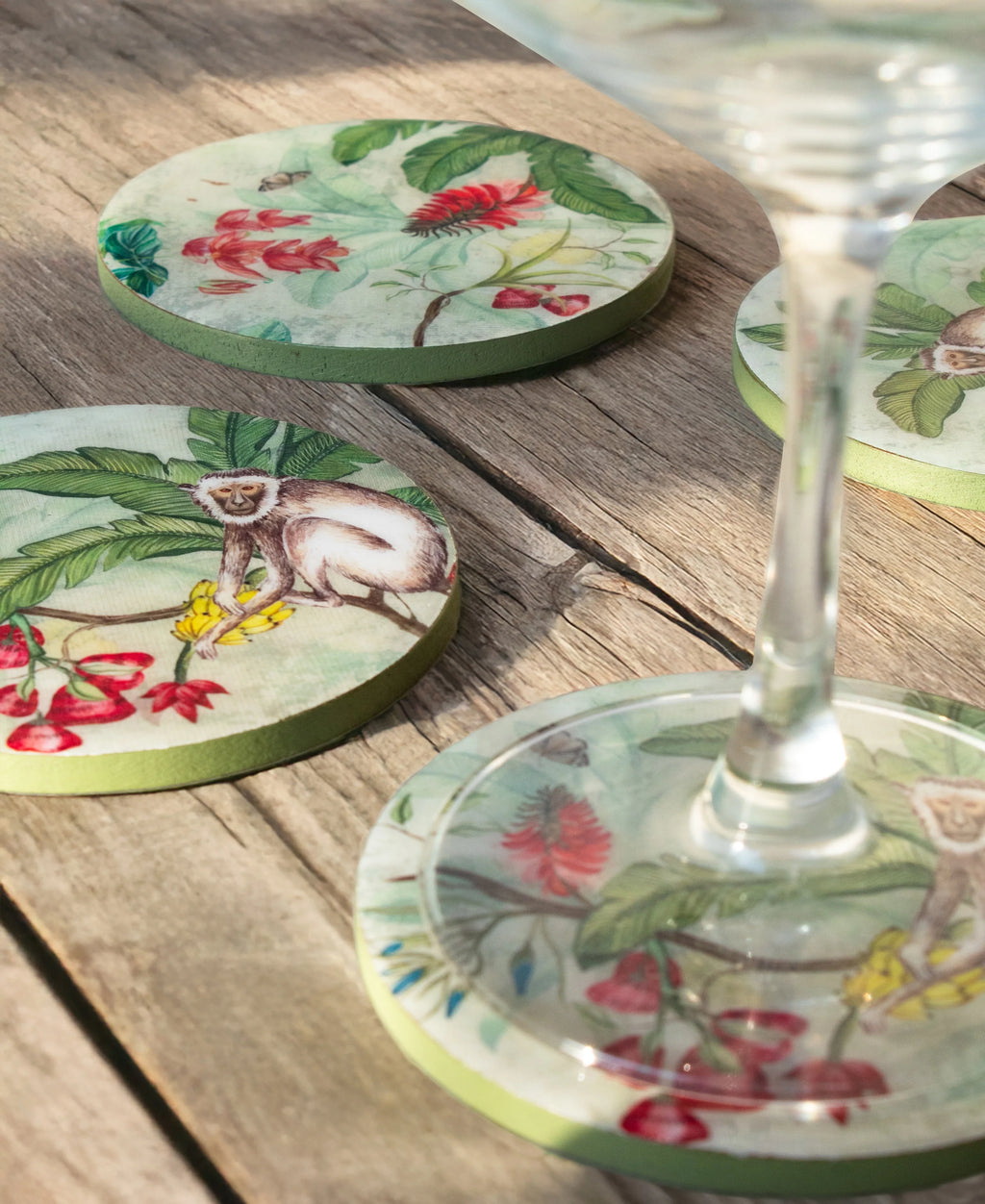 Vanar Vana Coaster Set (Set of 4)