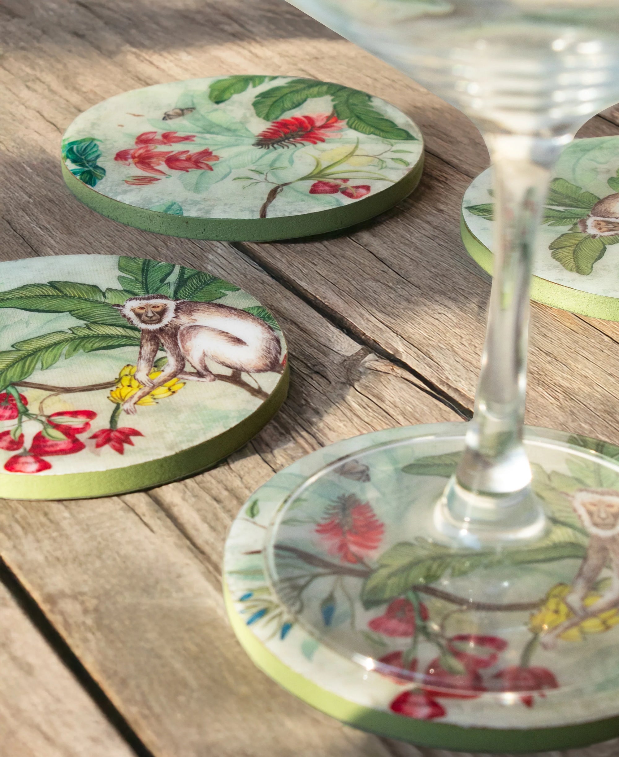 Vanar Vana Coaster Set (Set of 4)